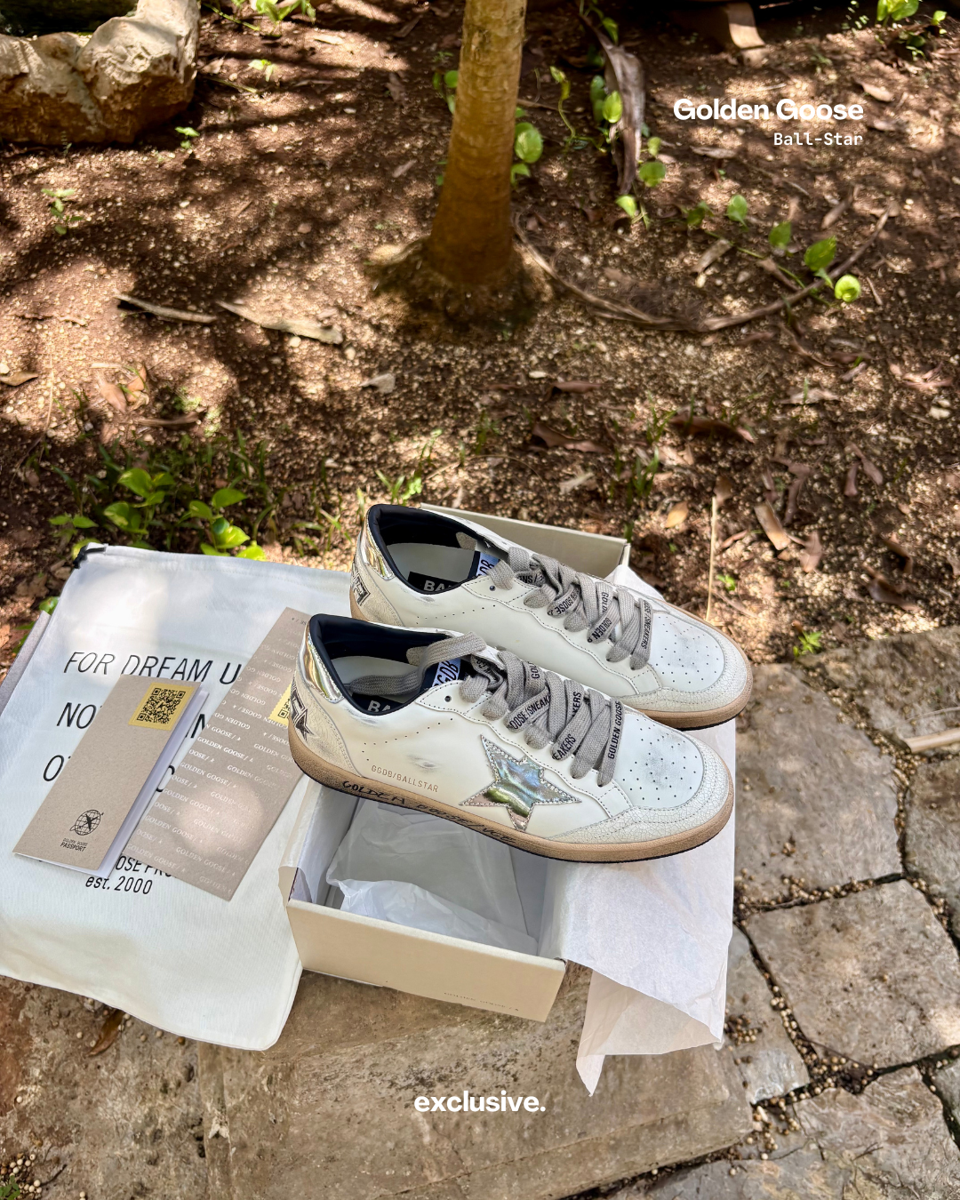 Golden Goose Ball-Star Silver
