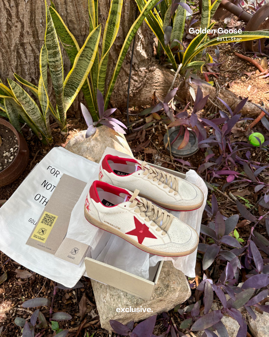 Golden Goose Ball-Star White & Red