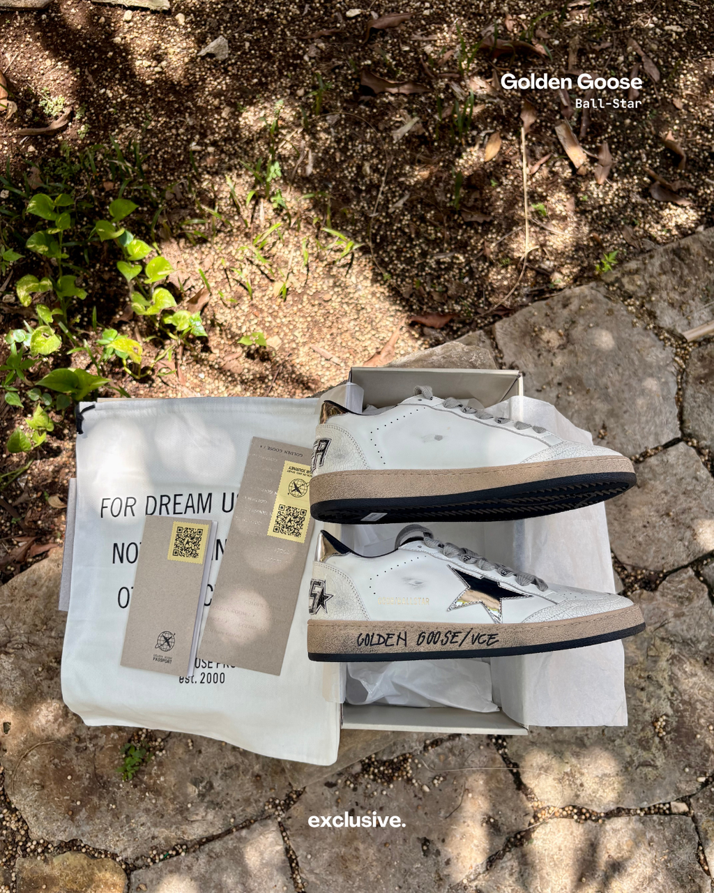 Golden Goose Ball-Star Silver