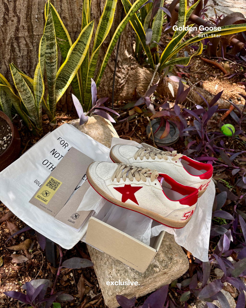 Golden Goose Ball-Star White & Red