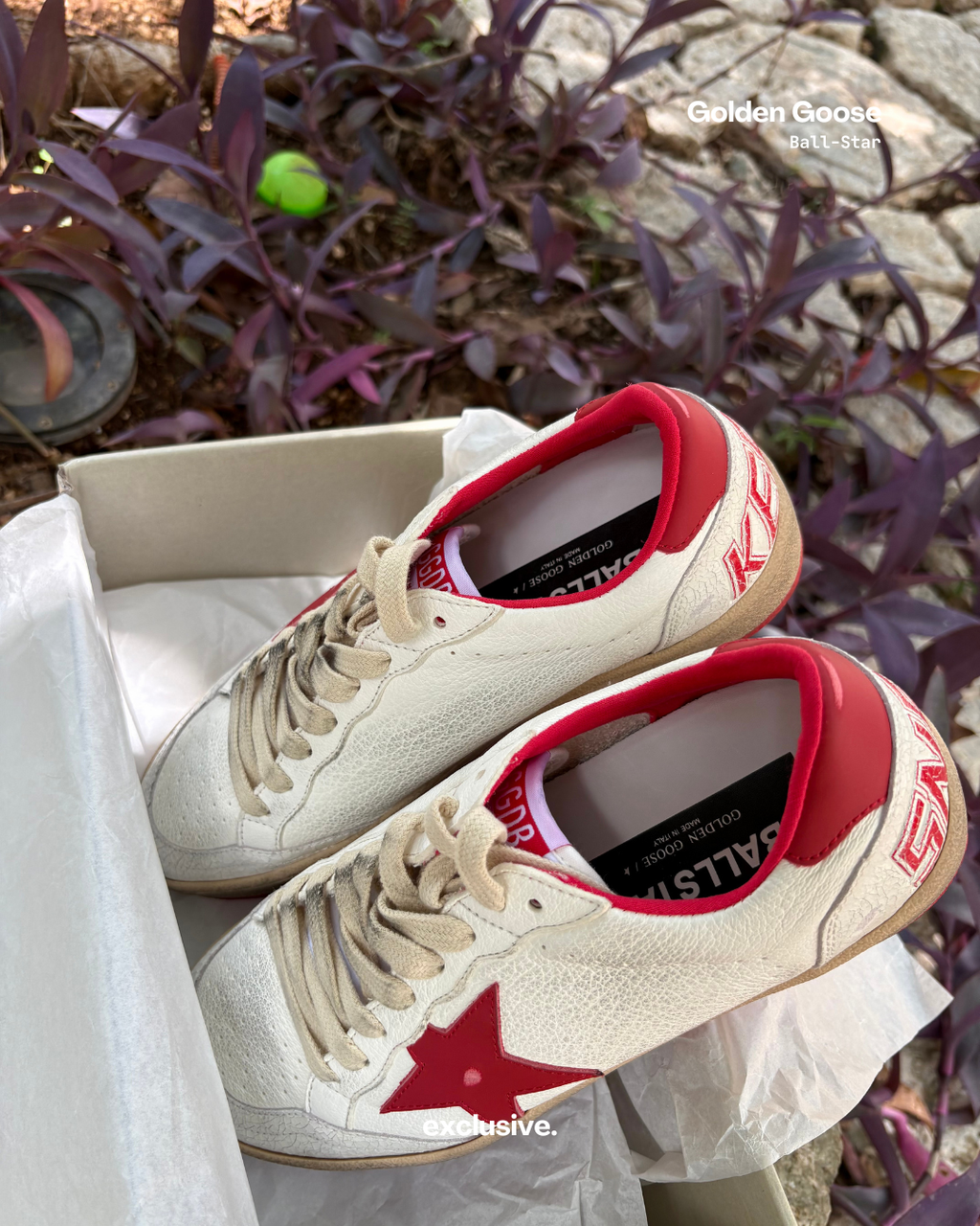 Golden Goose Ball-Star White & Red