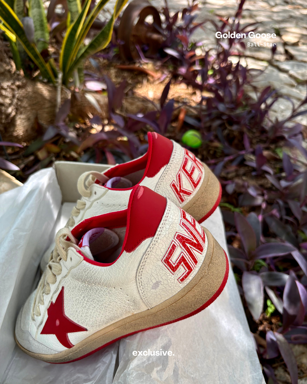 Golden Goose Ball-Star White & Red