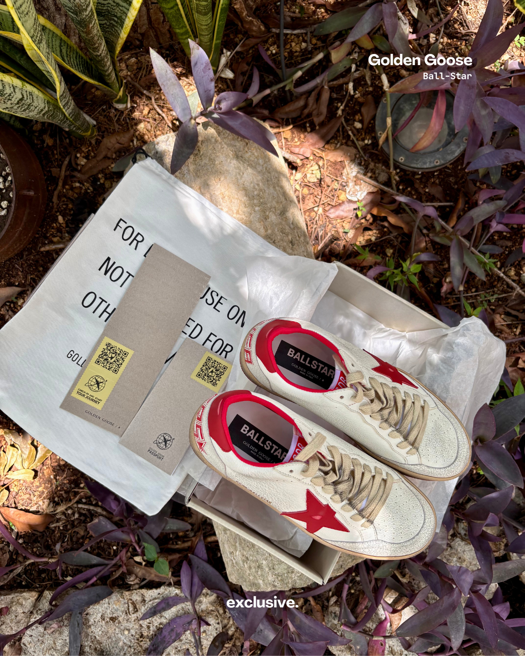 Golden Goose Ball-Star White & Red