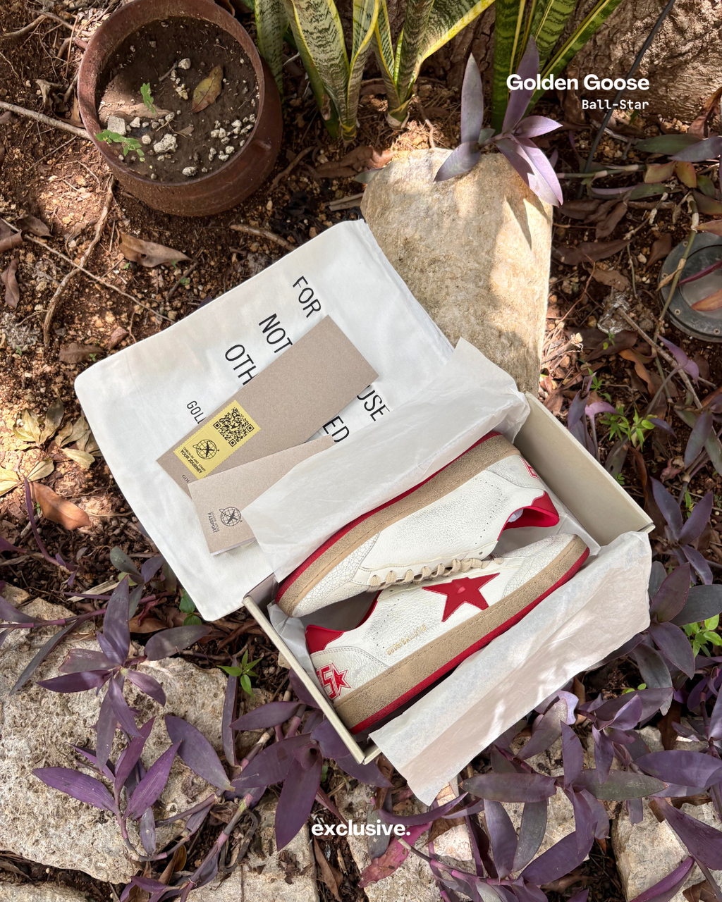 Golden Goose Ball-Star White & Red