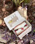 Golden Goose Ball-Star White & Red